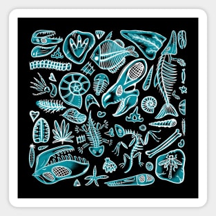 X-ray Dinosaur Fossils and Bones Magnet